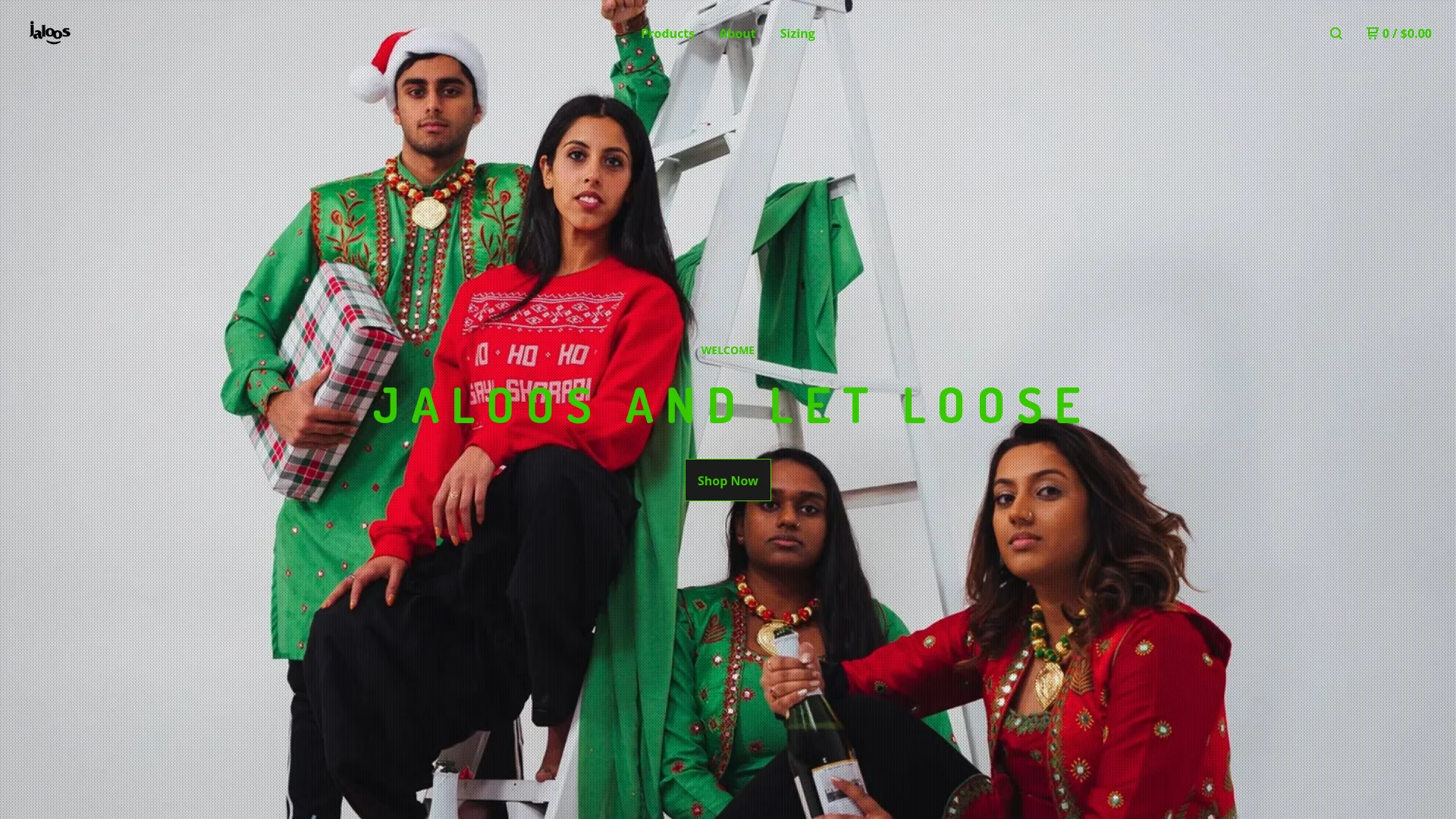 Jaloos LLC E-commerce case study: $122K Sales